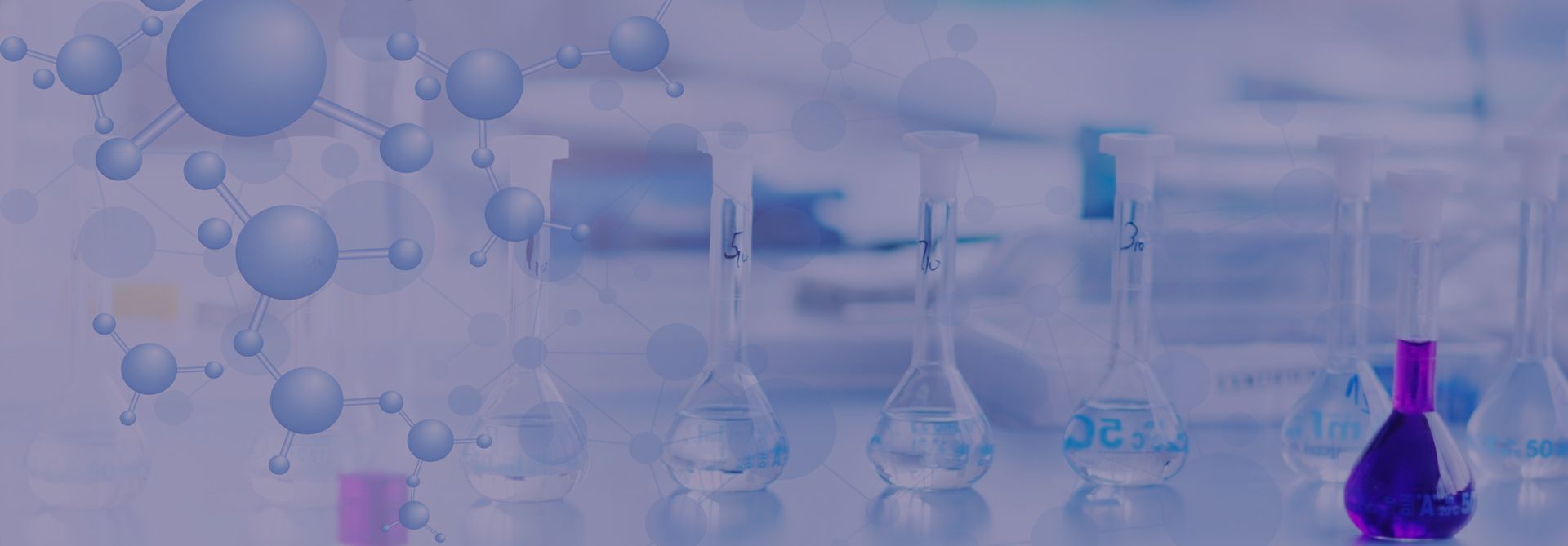 长春任波职业素养提升有限公司华东中心实验室战略合作签约仪式举行